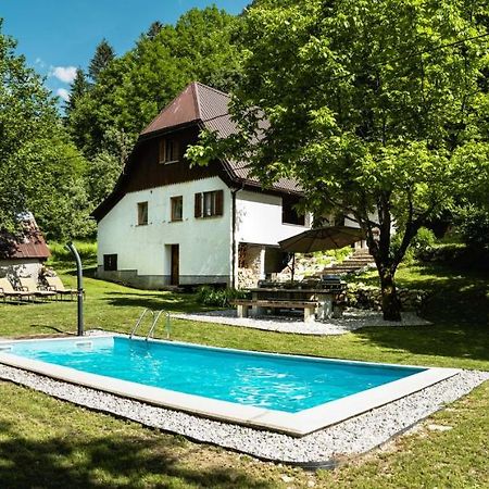 Gorska Vila Mountain Villa 索卡 外观 照片