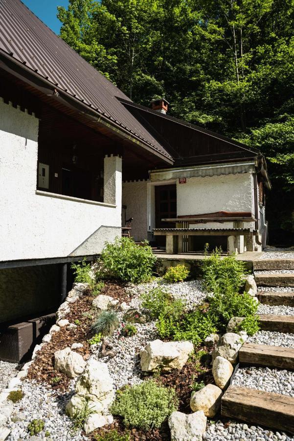 Gorska Vila Mountain Villa 索卡 外观 照片