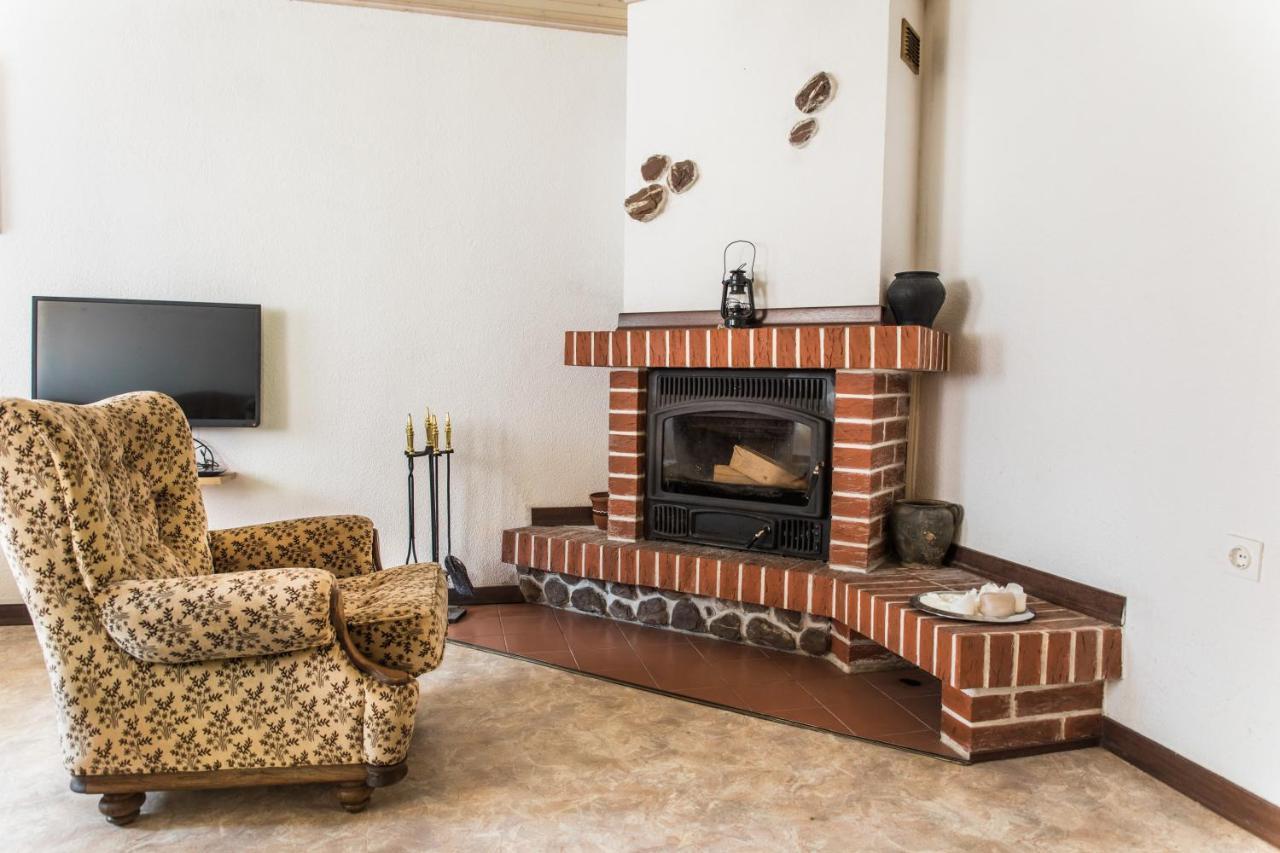Gorska Vila Mountain Villa 索卡 外观 照片